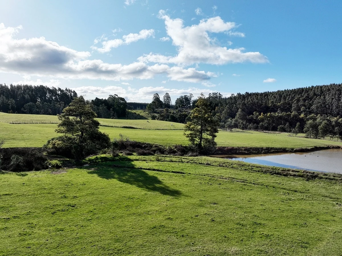 Additional image 22 of 148 Holmes Road, Roland TAS 7306