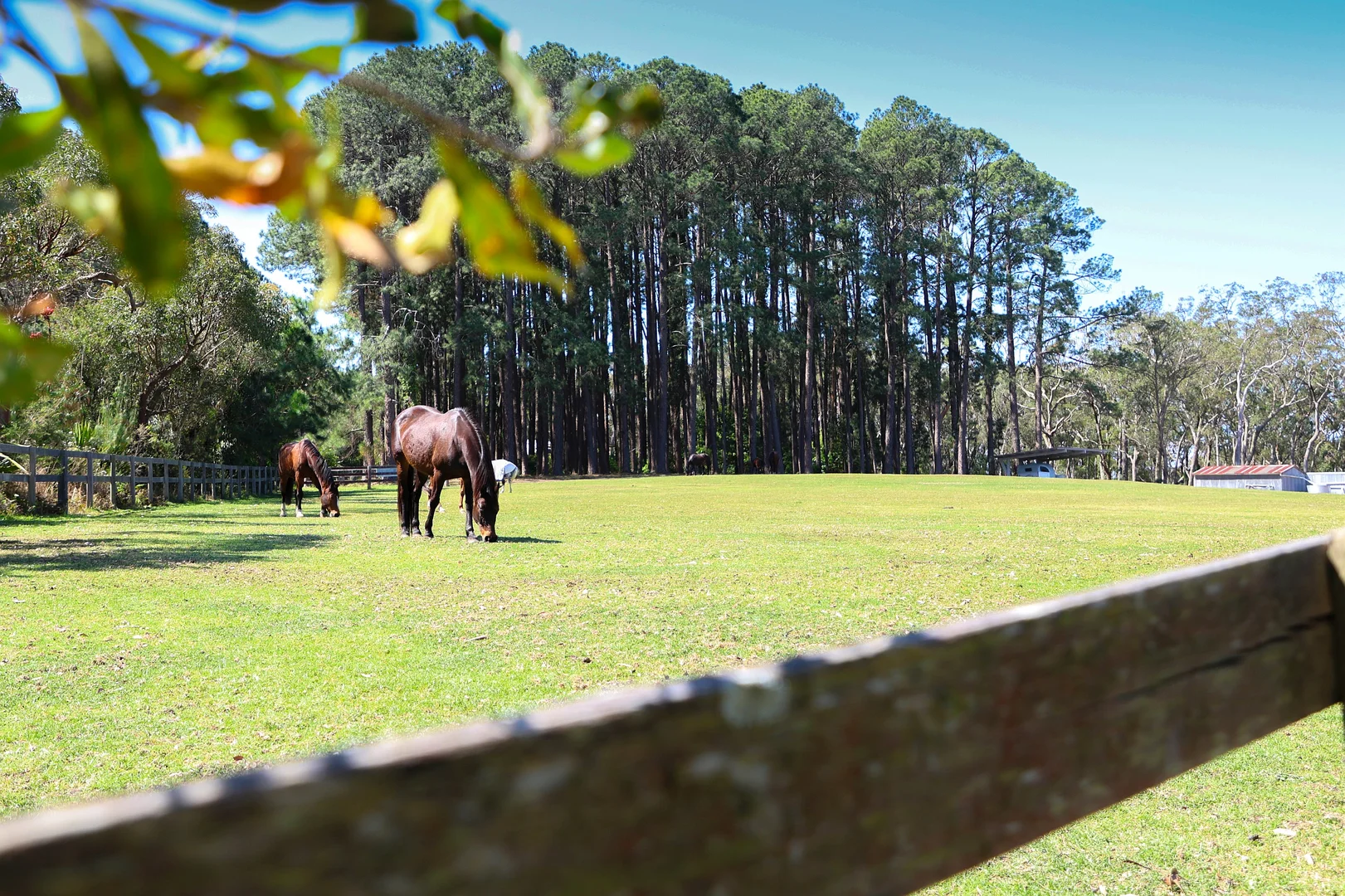 Additional image 34 of 161 Grants Road, Somersby NSW 2250