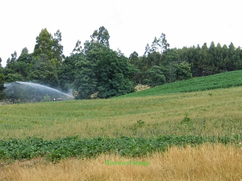 Additional image 30 of 148 Holmes Road, Roland TAS 7306