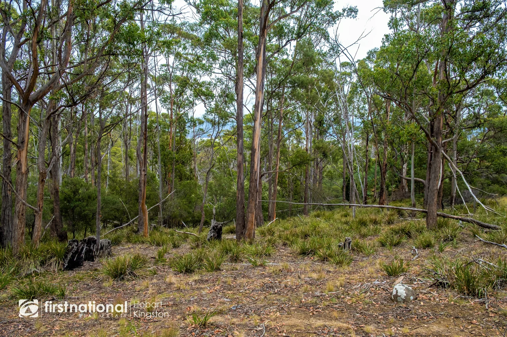 Additional image 10 of 110 Bruny Island Main Road, North Bruny TAS 7150