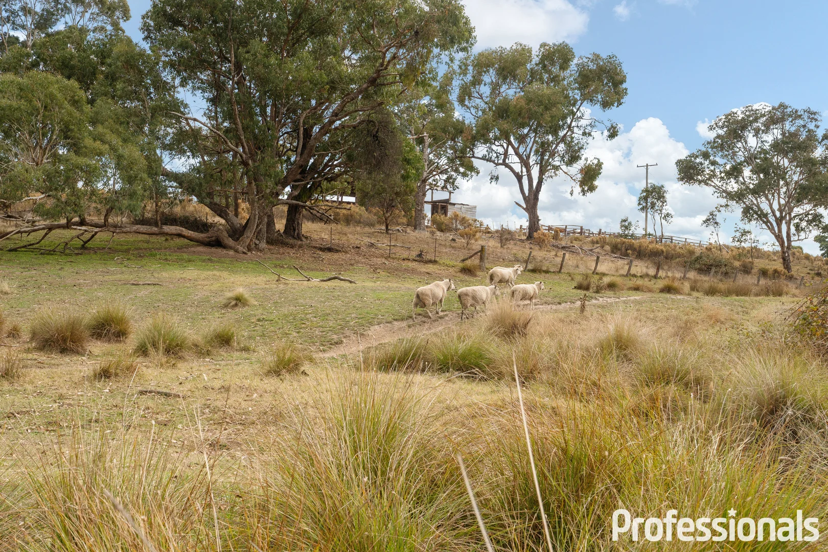 Additional image 32 of 2042 Hill End Road, Sallys Flat NSW 2850