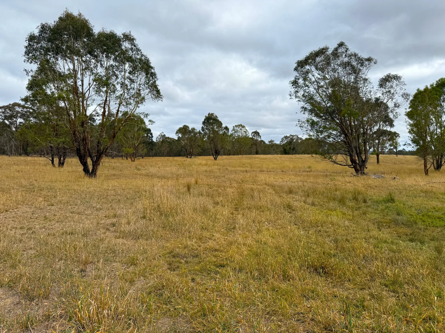 Additional image 14 of 1 Little Plains Road, Blakney Creek NSW 2581