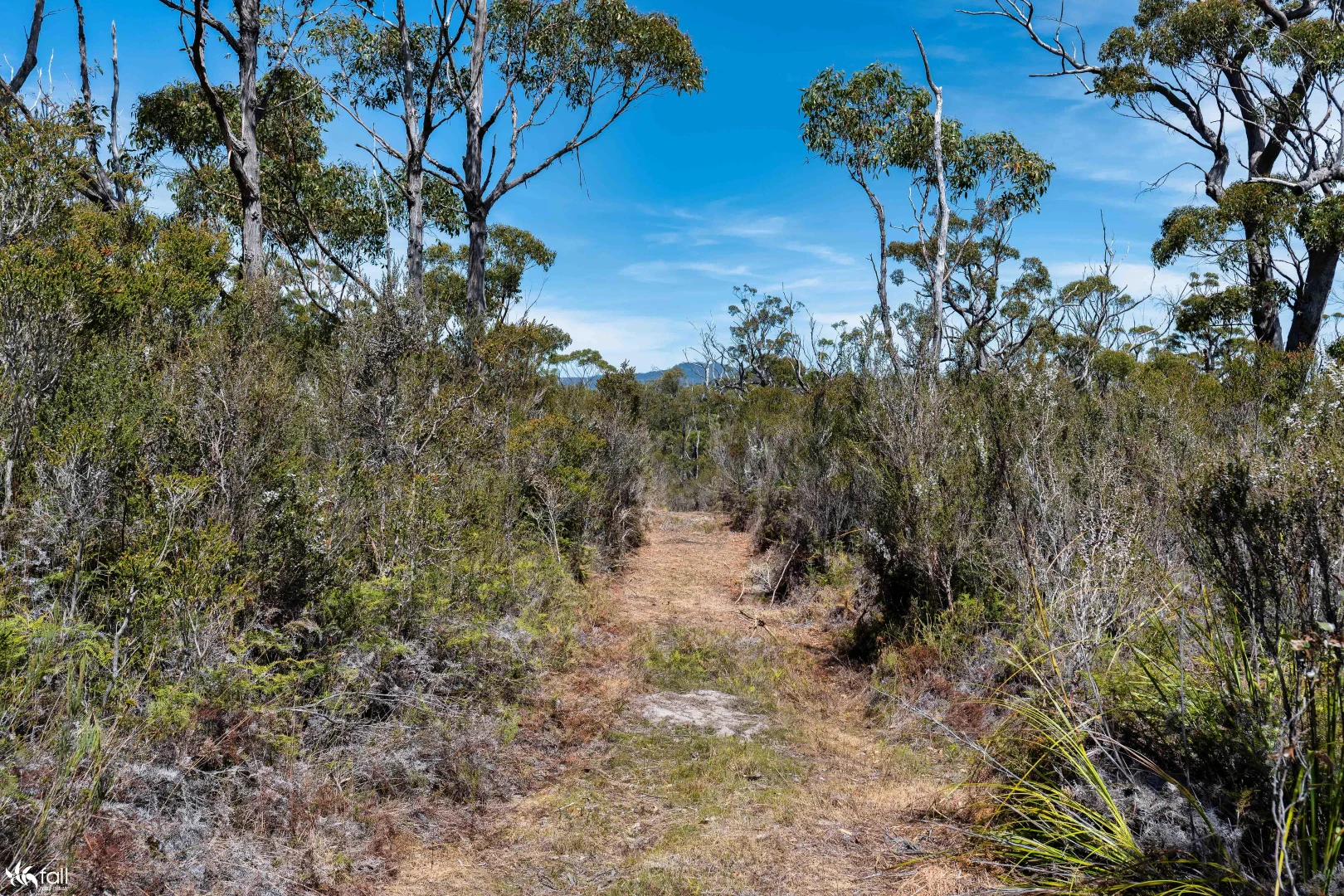 Additional image 10 of Lot 16 Lighthouse Road, South Bruny TAS 7150