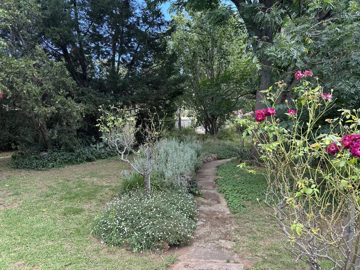 Additional image 33 of Cloudy Hill/82 Goddard Street, Coolah NSW 2843