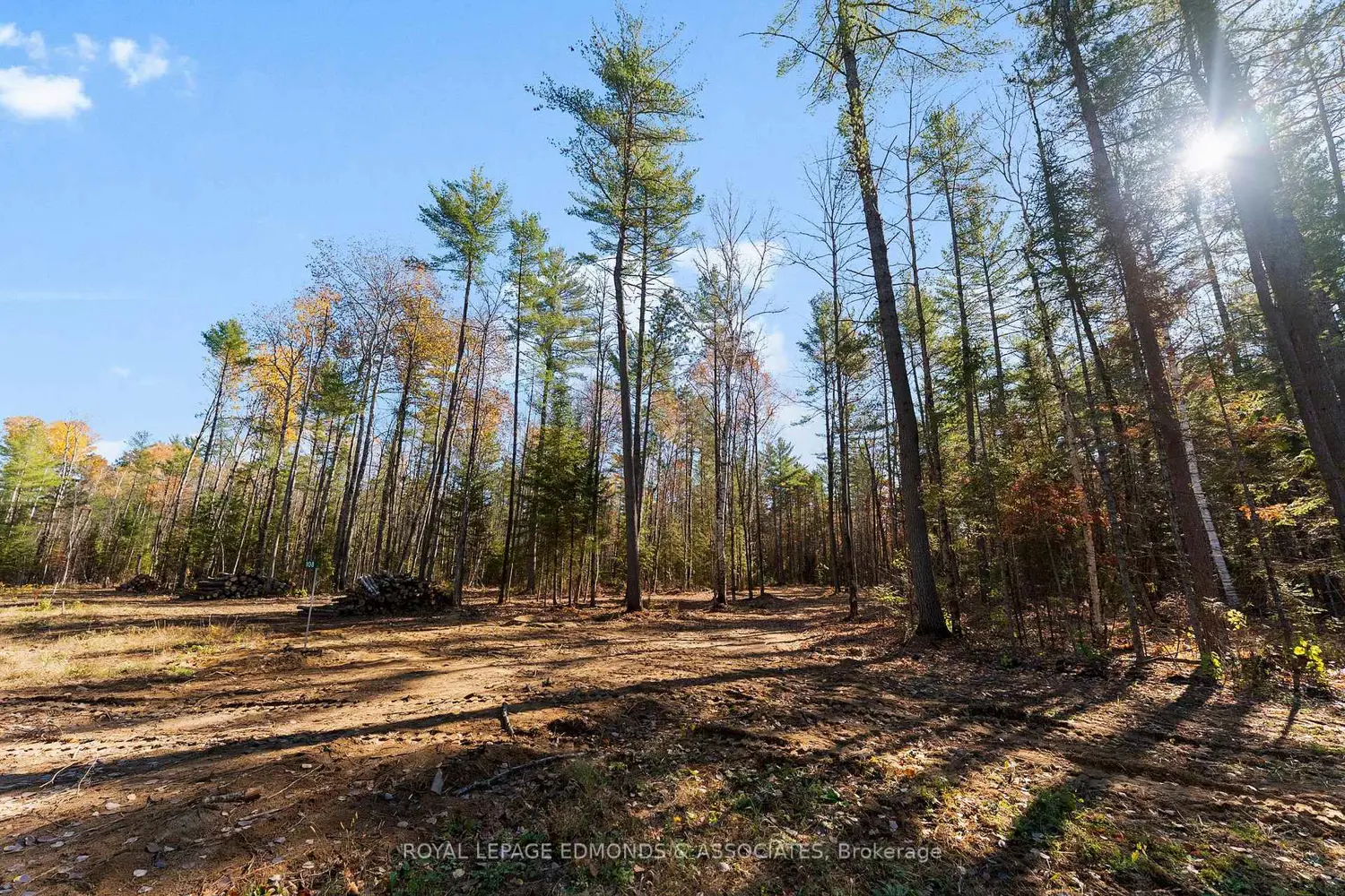 Additional image 5 of 100 Nangor Trail