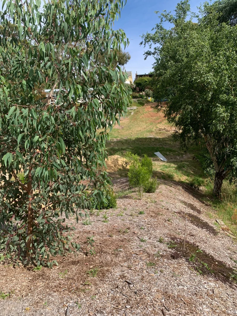 Additional image 7 of 50 WATTLE TREE ROAD, Bridgewater SA 5155