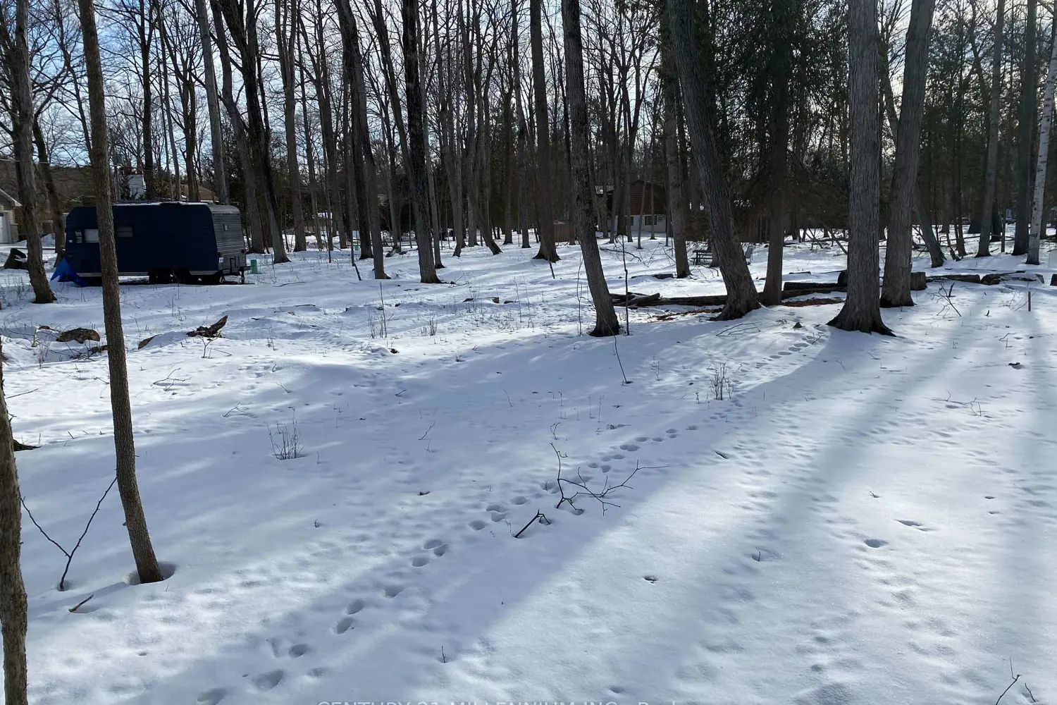 Additional image 17 of 11 Knox Road