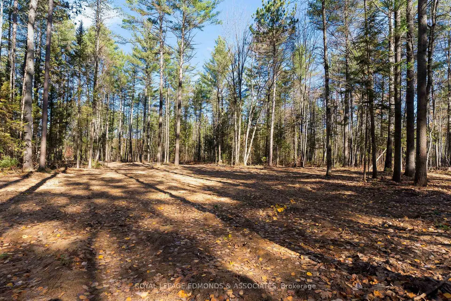 Additional image 7 of 100 Nangor Trail