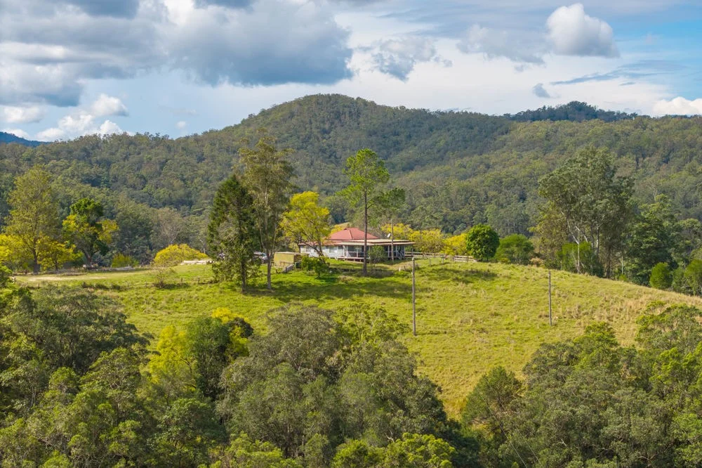 3643 Taylors Arm Road, Burrapine NSW 2447