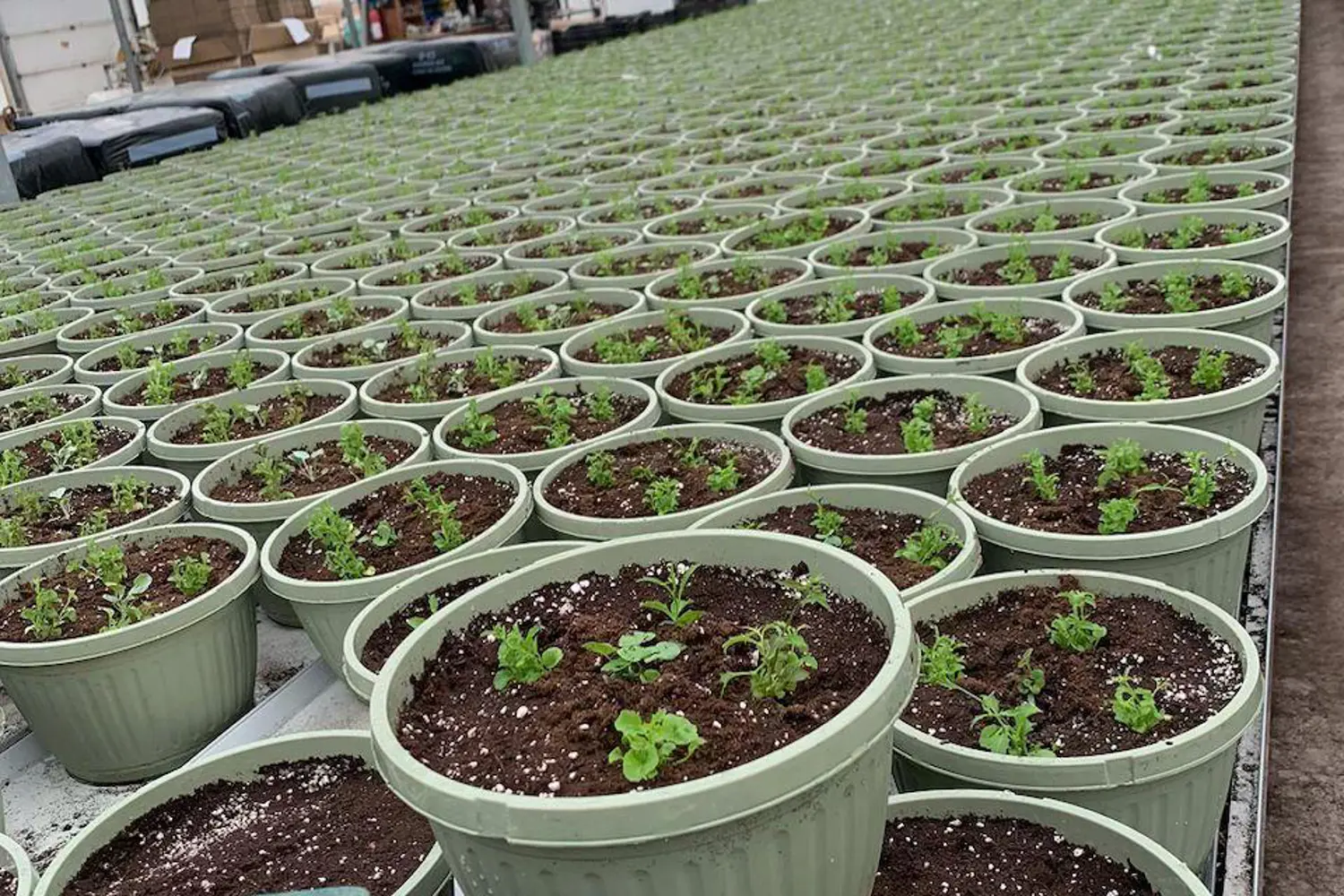 Additional image 15 of 430 Concession 7 Road