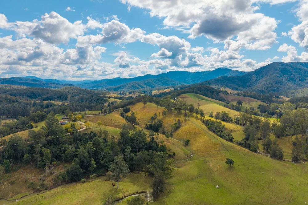 Additional image 19 of 3643 Taylors Arm Road, Burrapine NSW 2447