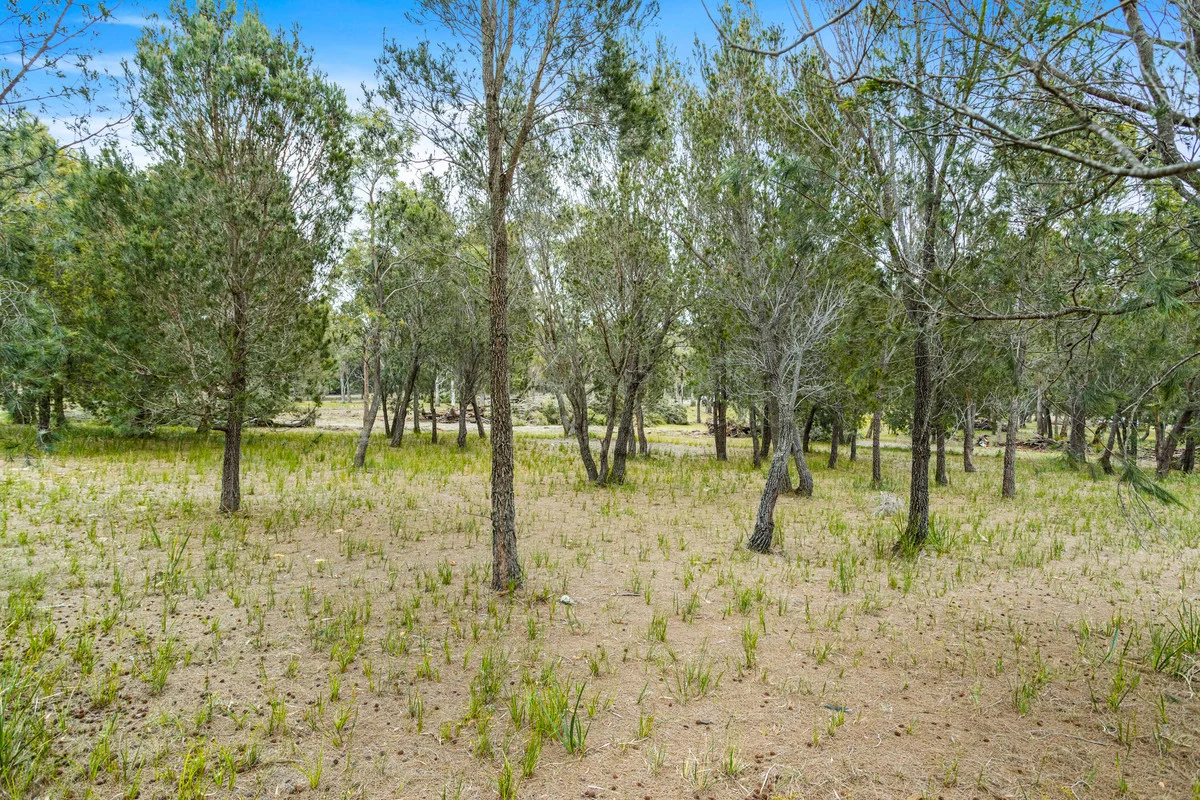 Additional image 14 of 204 Rheban Road, Orford TAS 7190