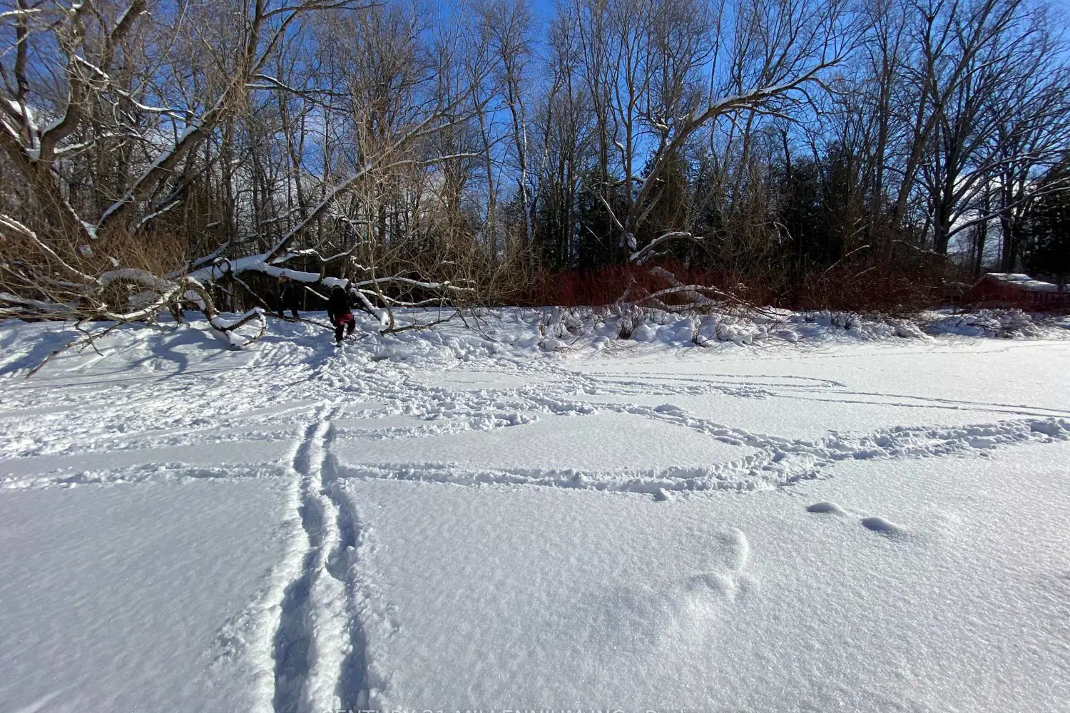 Additional image 11 of 11 Knox Road