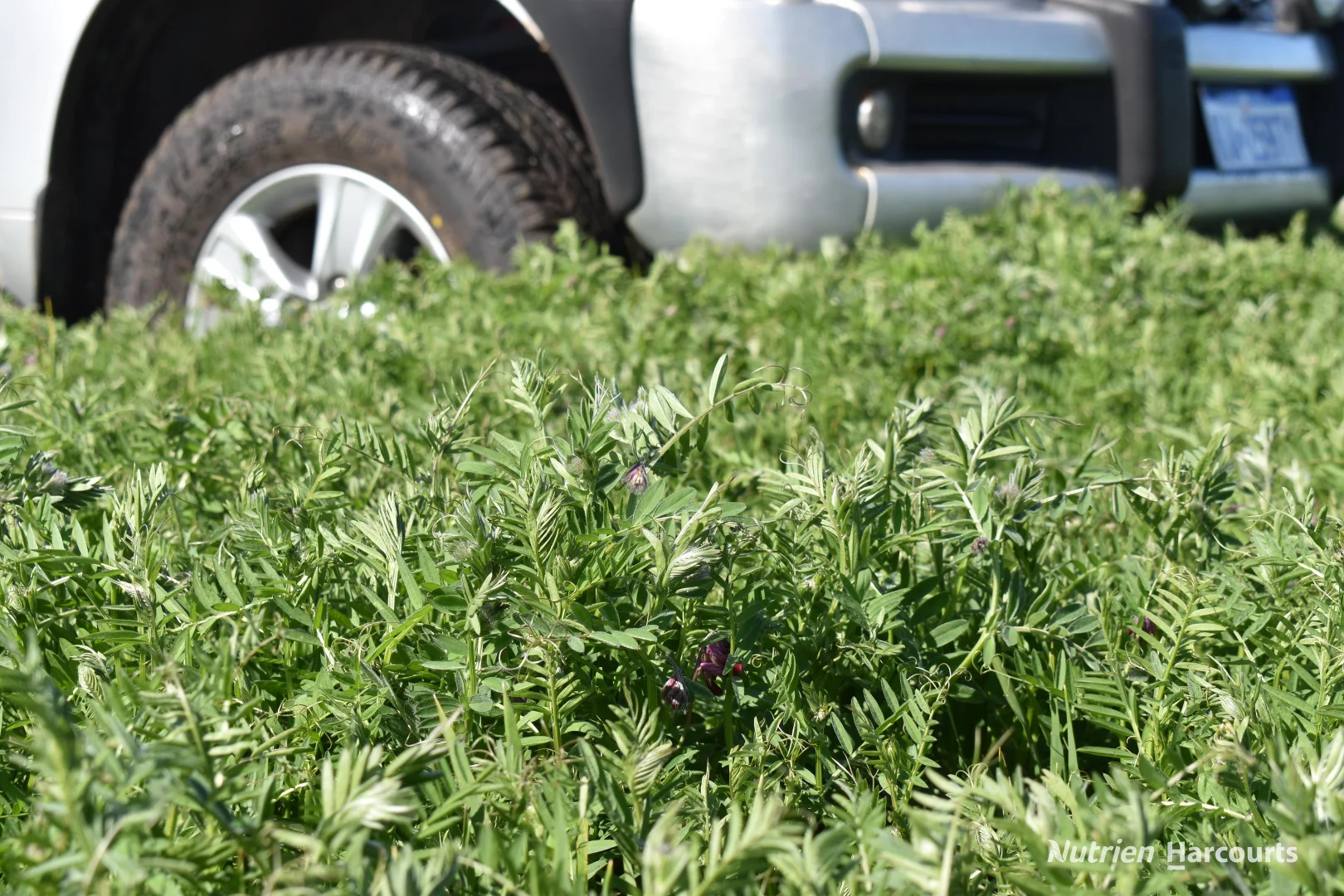 Additional image 14 of 1630 Mindarabin Road, Mindarabin WA 6336