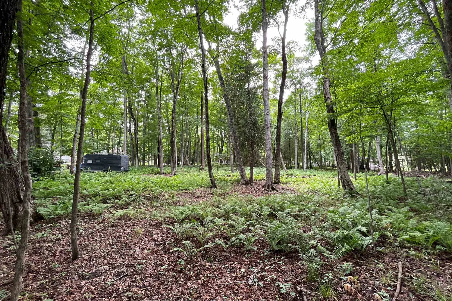 Additional image 18 of 11 Knox Road