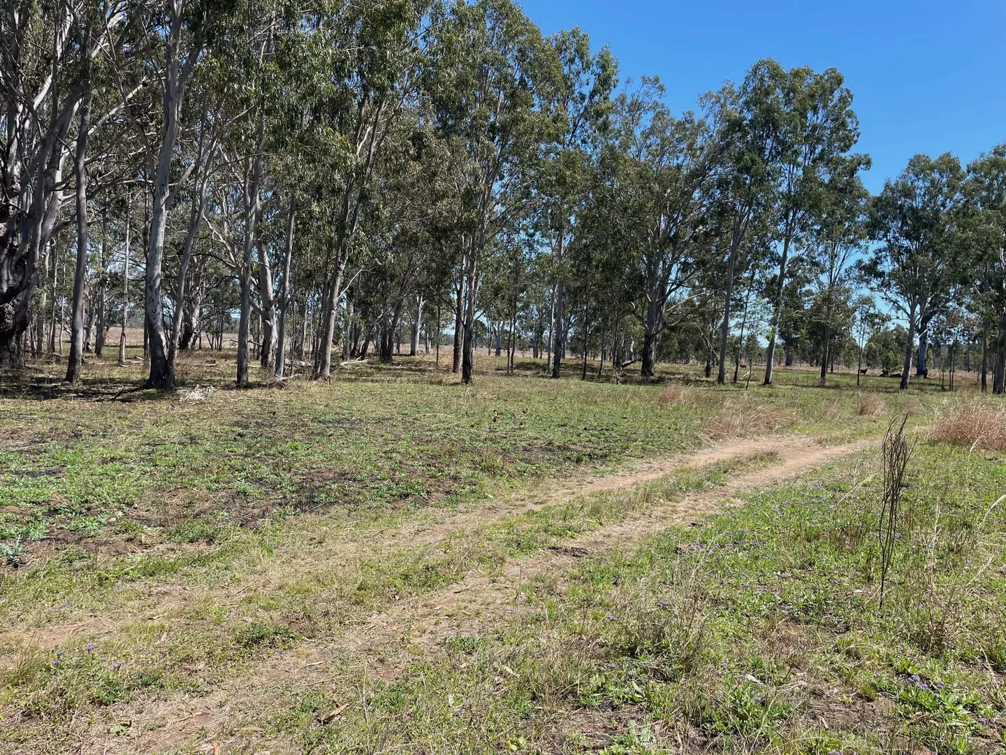 Additional image 5 of 8 Screening Plant Road, Cynthia QLD 4627
