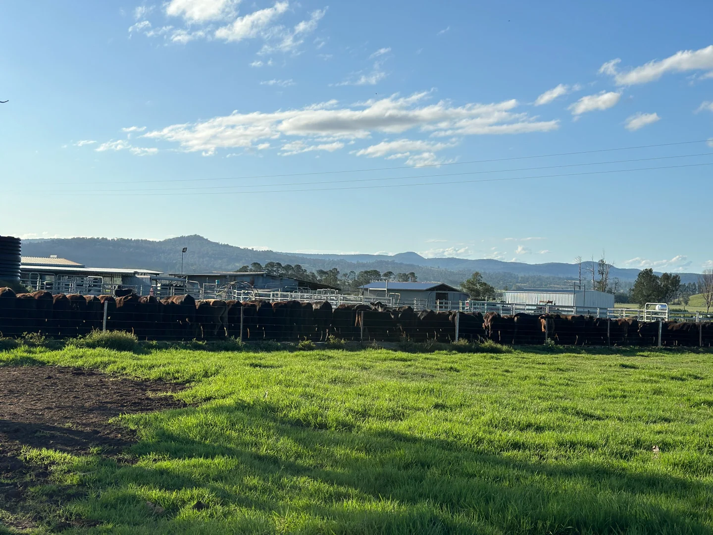 Additional image 20 of 119 Duck Creek Road, Old Bonalbo NSW 2469