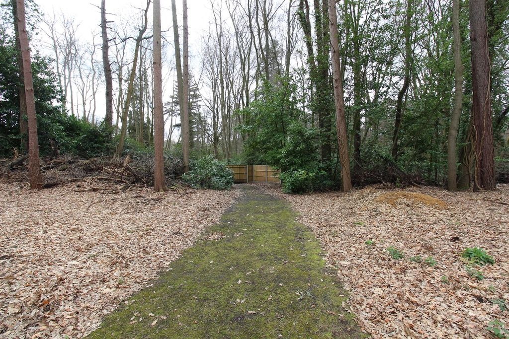 Additional image 4 of Land to rentCrawley Hill, West Wellow, Romsey SO51