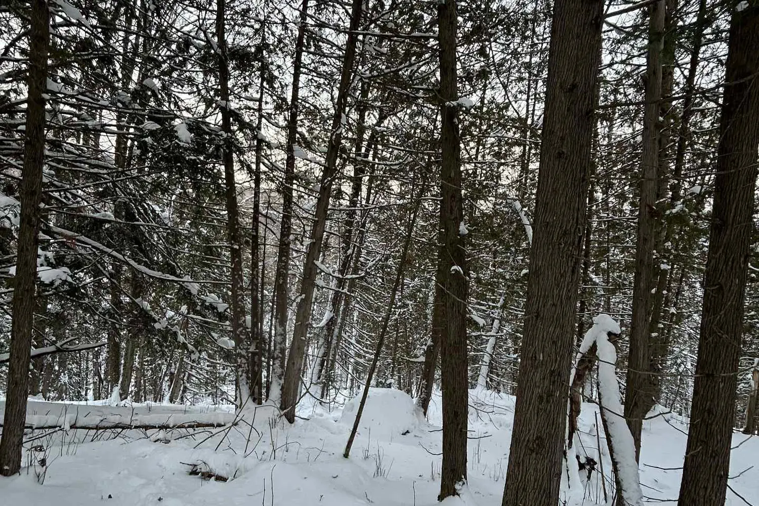 Additional image 7 of 0 Pineridge Road