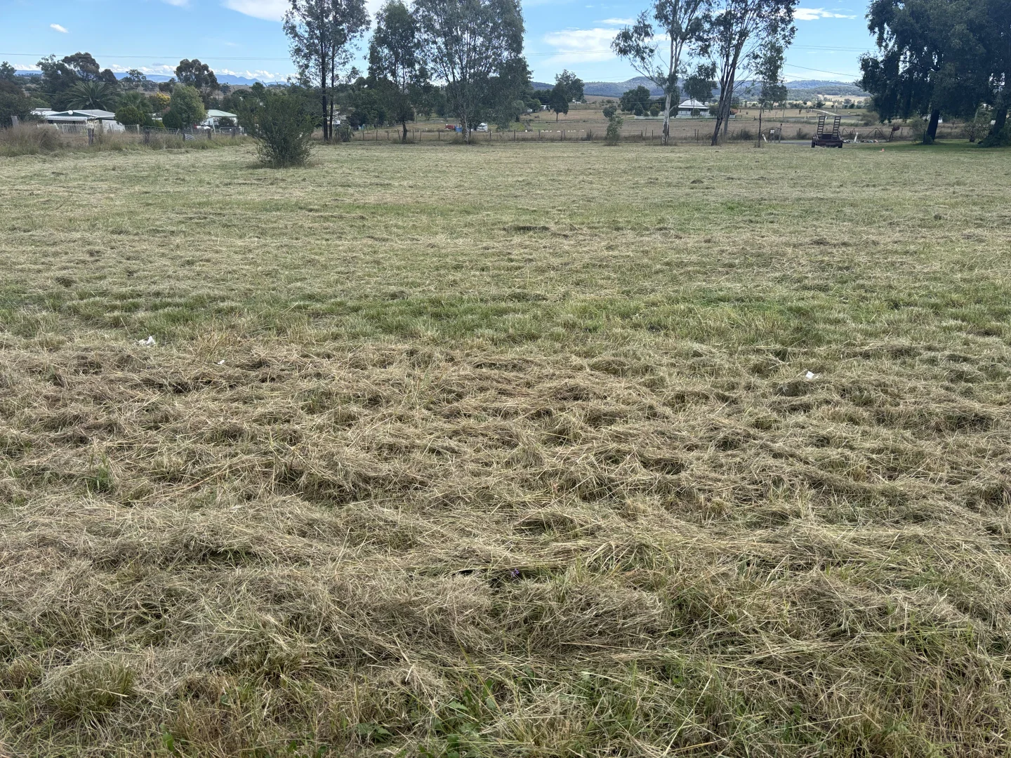 Additional image 15 of 16 Hill Street, Warialda Rail NSW 2402