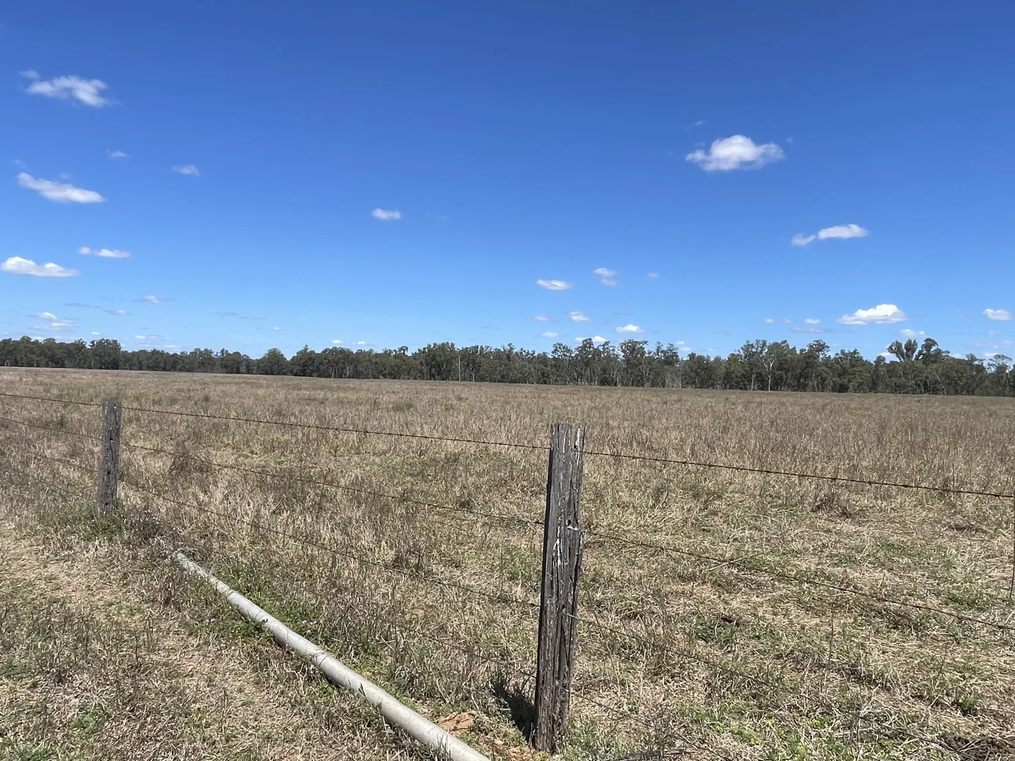 Additional image 16 of 8 Screening Plant Road, Cynthia QLD 4627