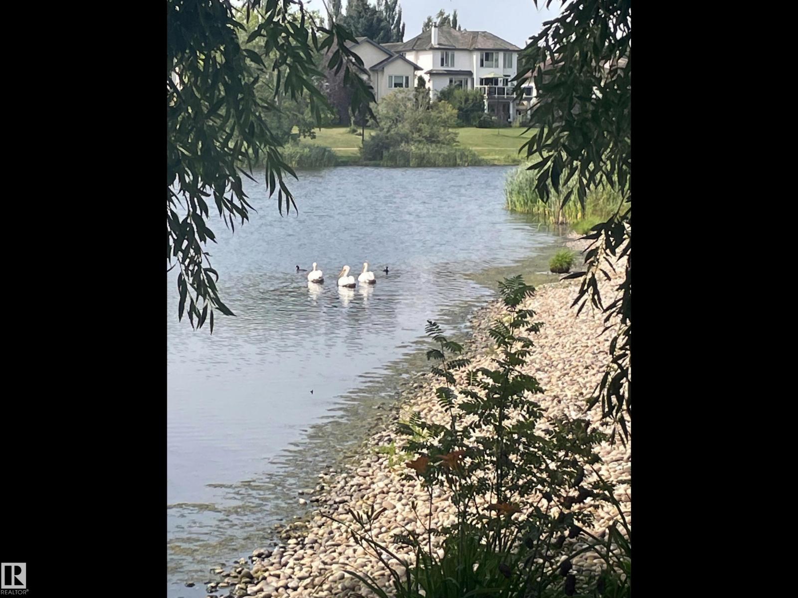 Additional image 3 of 116 Twin Brooks Cove NW, Edmonton, AB, T6J6T1