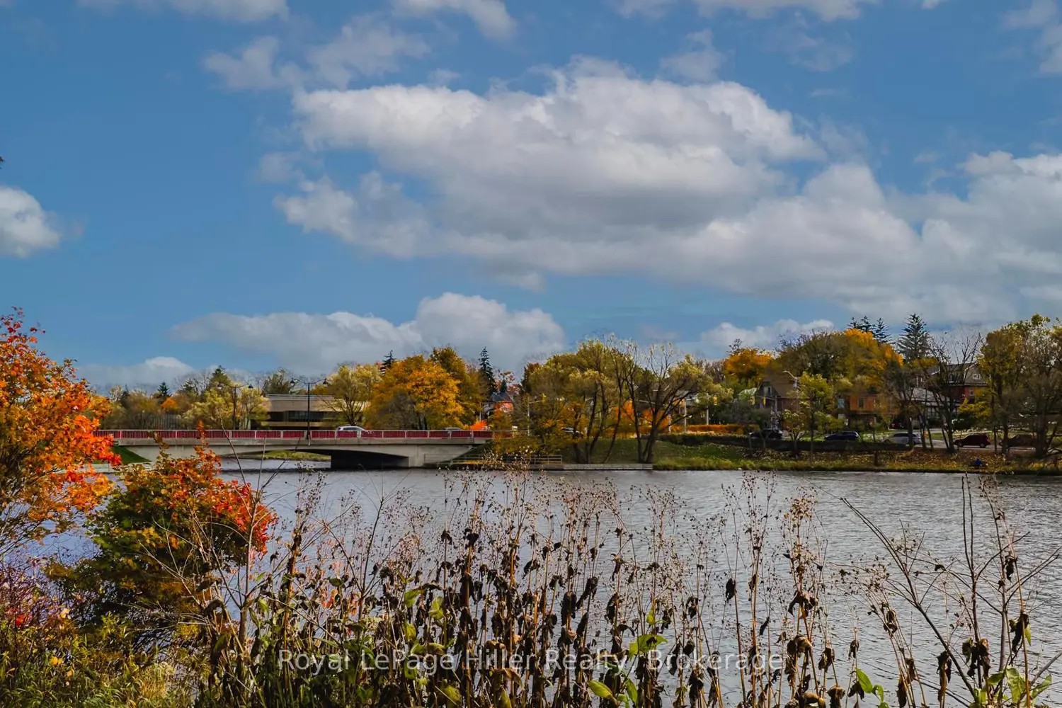 Additional image 7 of 113 William Street