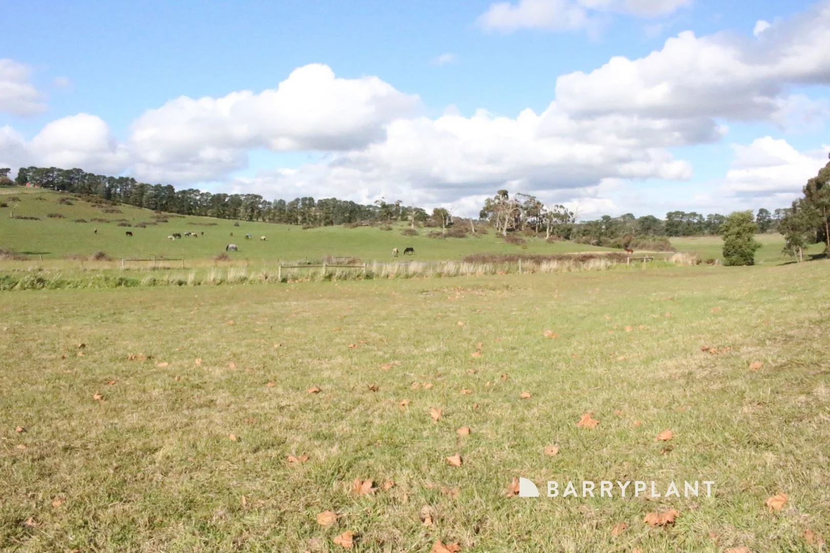 Additional image 8 of 24 Sherwood Way, Lysterfield VIC 3156