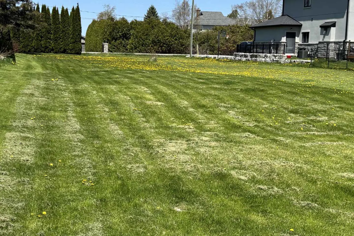 Additional image 4 of 7657 Black River Road