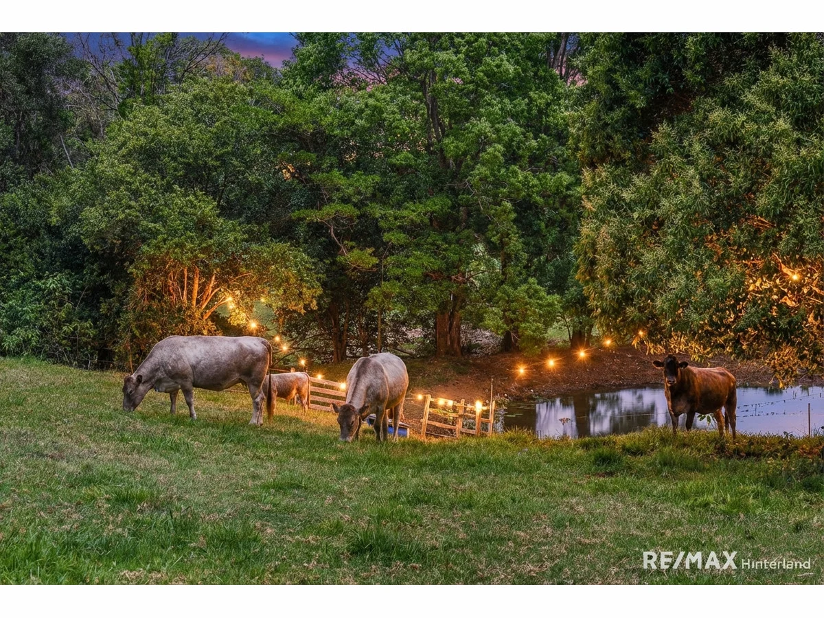 Additional image 12 of 143 Reesville Road, Reesville QLD 4552