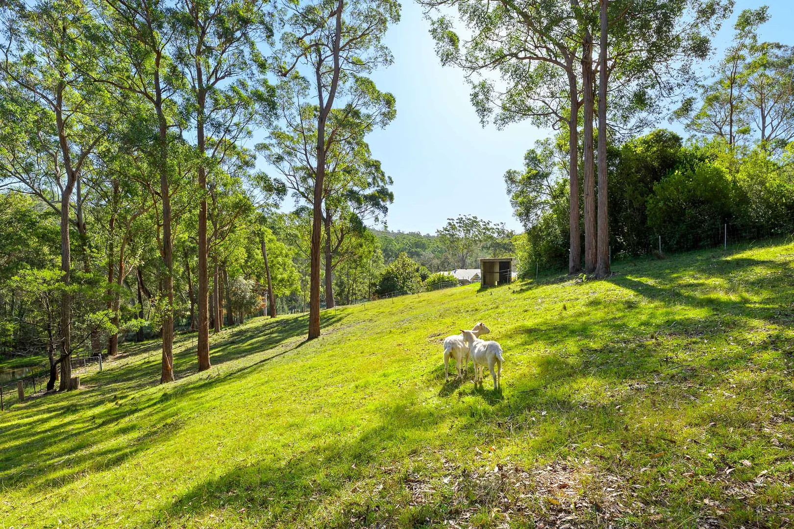 Additional image 30 of 29 Timber Barge Lane, Benandarah NSW 2536