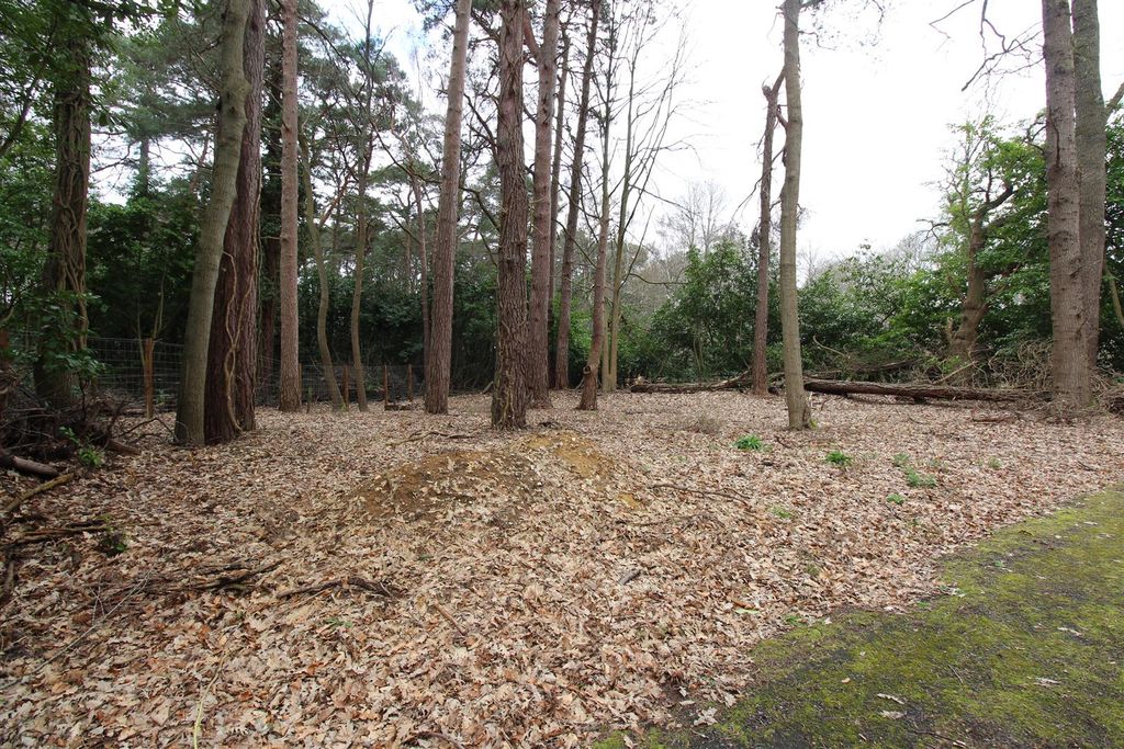 Additional image 7 of Land to rentCrawley Hill, West Wellow, Romsey SO51