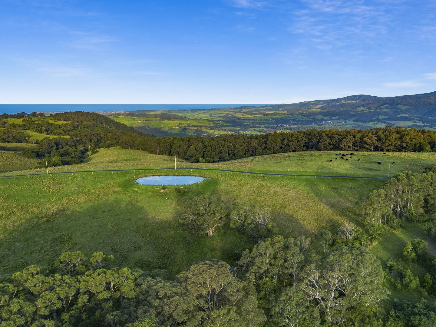 Additional image 26 of 283 Stockyard Mountain Road, Yellow Rock Ridge NSW 2527