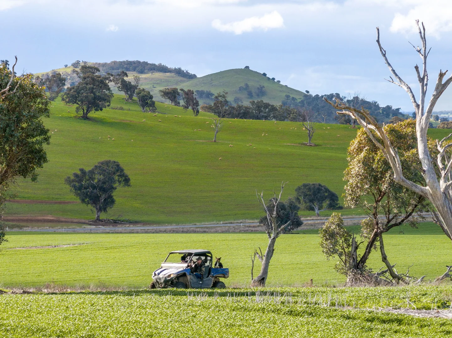 Additional image 19 of 'Darmody's', 969 Brial Rd, Boorowa NSW 2586
