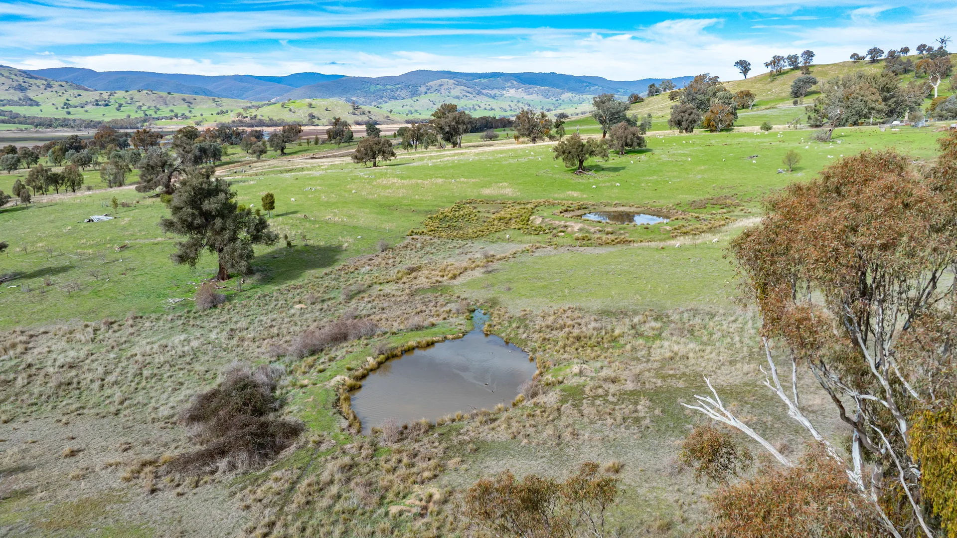 Additional image 9 of 8010 River Road, Talmalmo NSW 2640