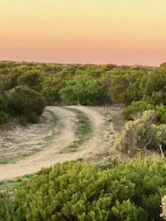 Additional image 2 of Section 101 Nugent Road, Foul Bay SA 5577