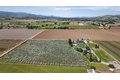 Additional image 96 of 3465 Susie Ln, Gilroy, CA, 95020