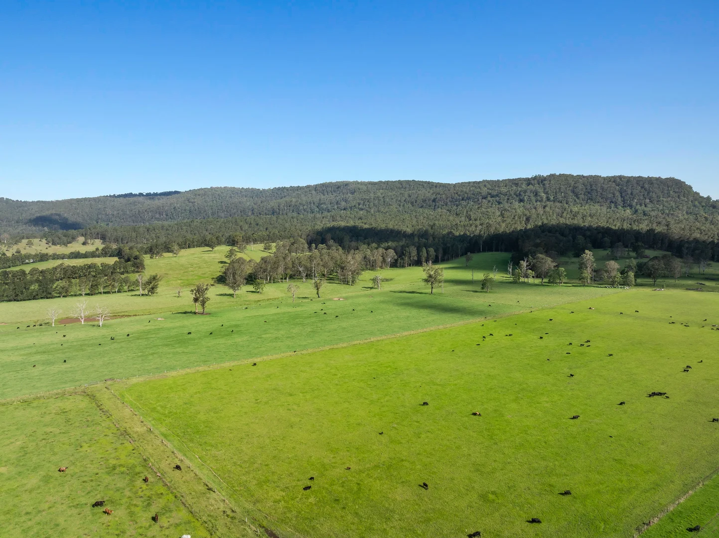 Additional image 9 of 119 Duck Creek Road, Old Bonalbo NSW 2469