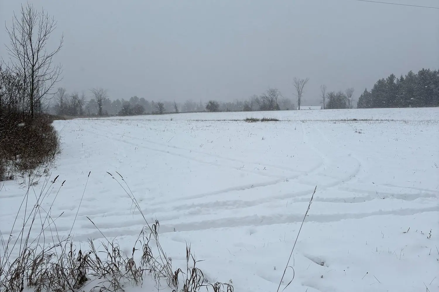 Additional image 8 of 0 Cooney Island Road