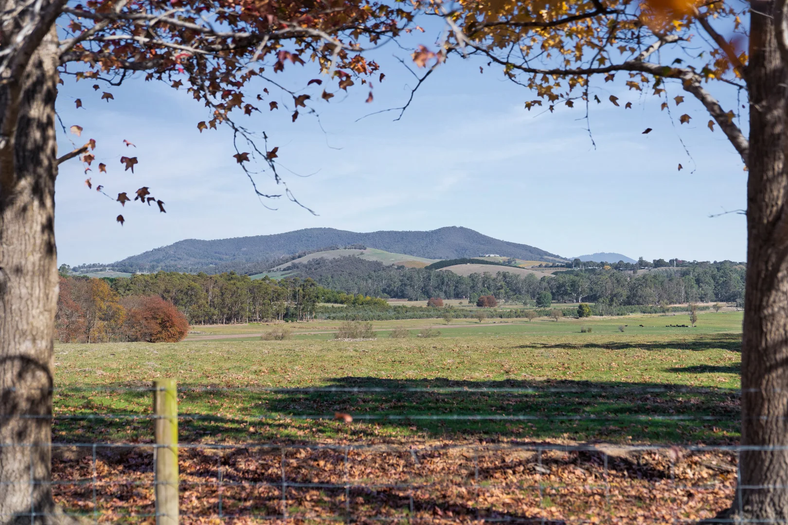 Additional image 3 of 2 MAROONDAH Highway, Healesville VIC 3777