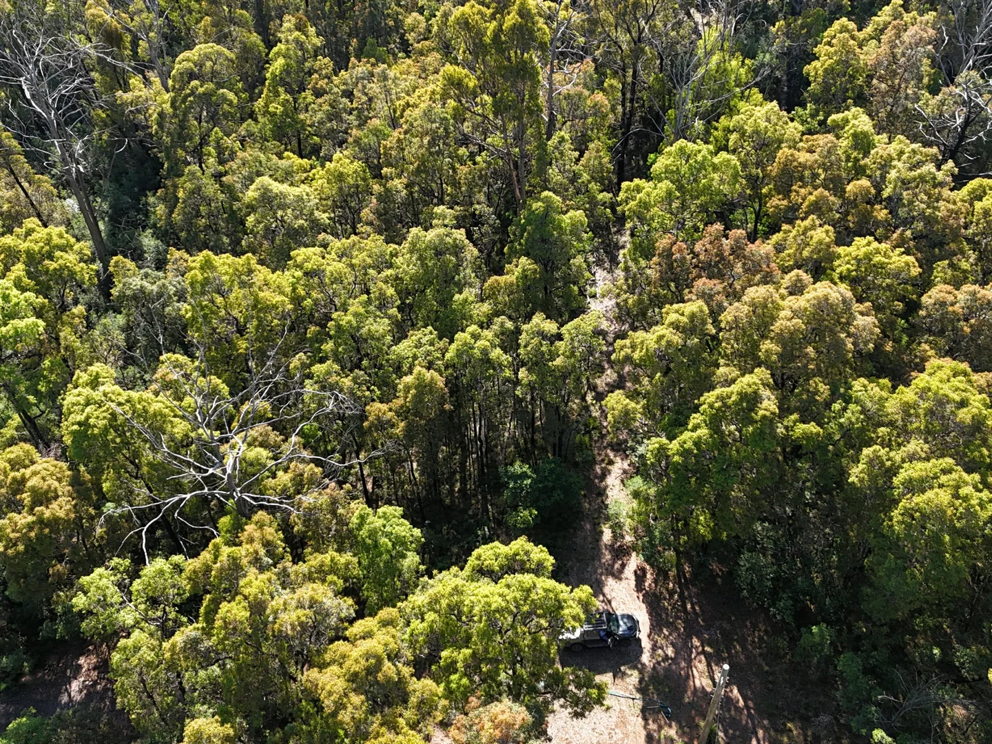 Additional image 4 of Lot 3 DP1128262 Yowrie Road, Yowrie NSW 2550