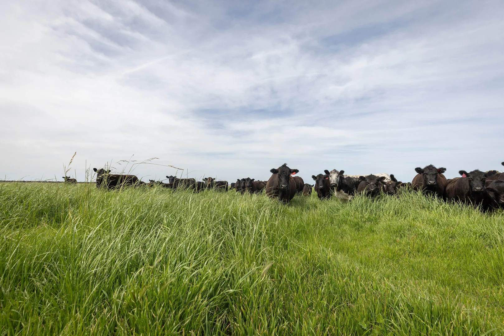 Additional image 11 of 18462 Princes Highway, Kingston Se SA 5275