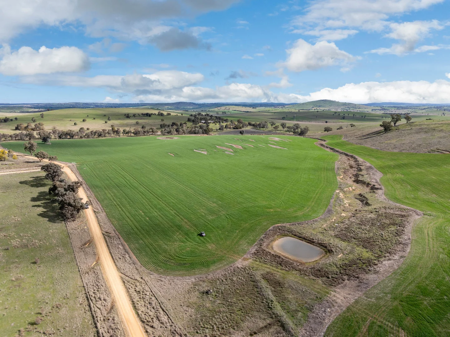 Additional image 8 of 'Darmody's', 969 Brial Rd, Boorowa NSW 2586