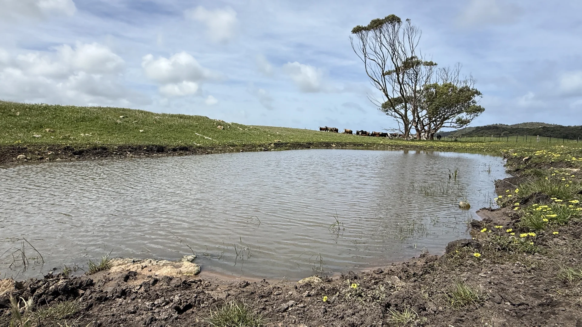 Additional image 4 of 175 Pethers Lane, Millicent SA 5280