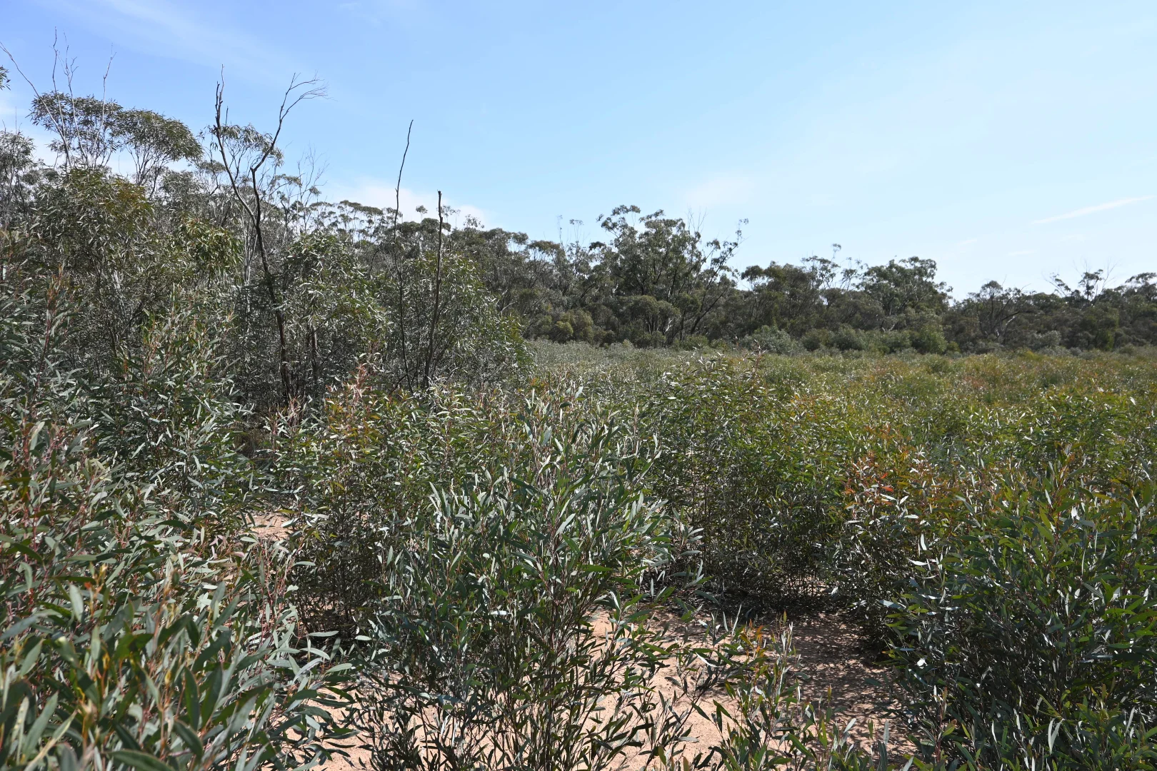 Additional image 3 of 17, A KURTING KINGOWER ROAD, Kingower VIC 3517