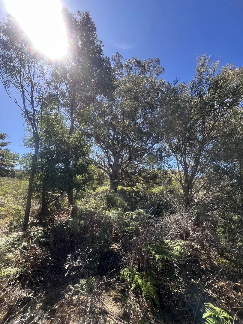 Additional image 6 of PID 6423792 Fairhaven Road, Memana TAS 7255