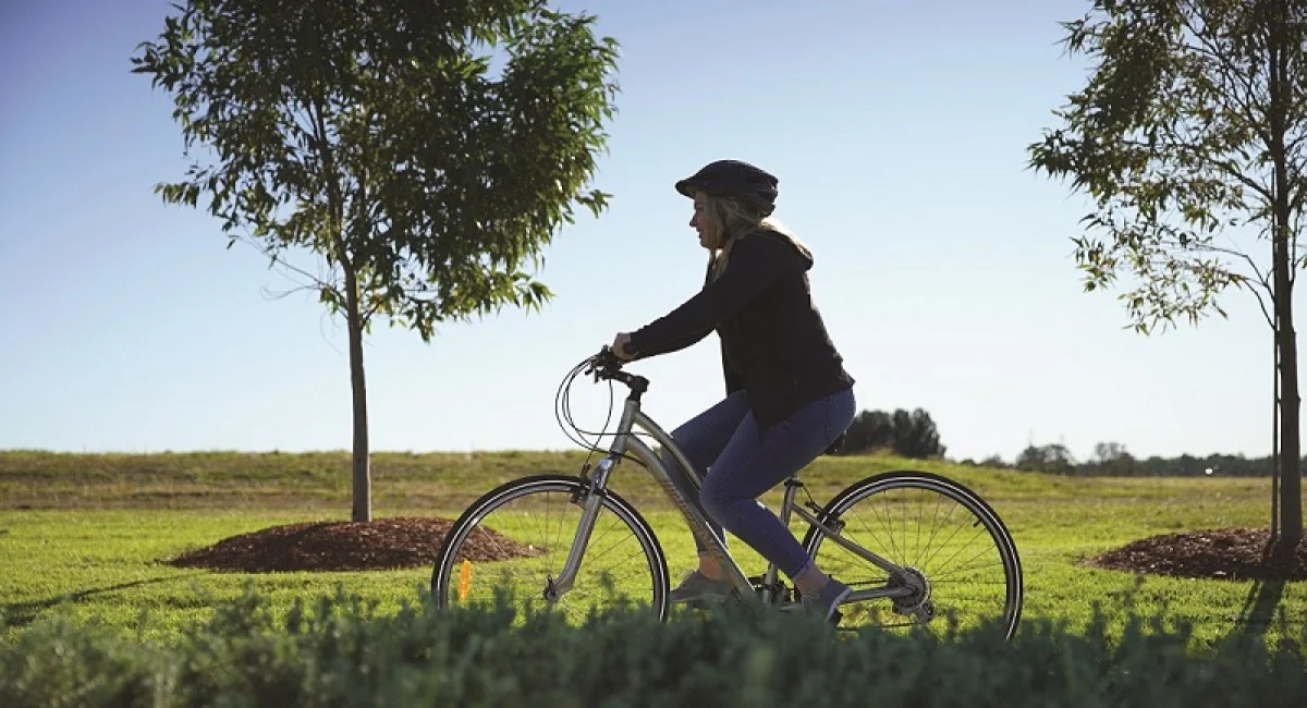 Additional image 3 of 816 Hamer Street, Catherine Field NSW 2557