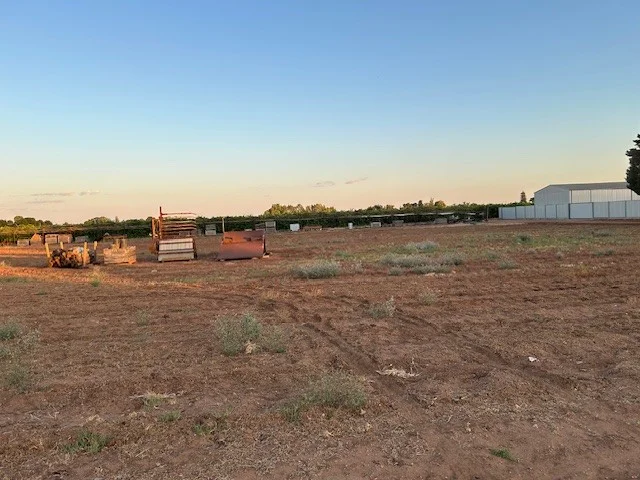 Additional image 3 of Lot 1/1227 Karadoc Avenue, Irymple VIC 3498