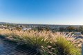 Additional image 44 of 3812 Costa Bella Way, La Mesa, CA, 91941