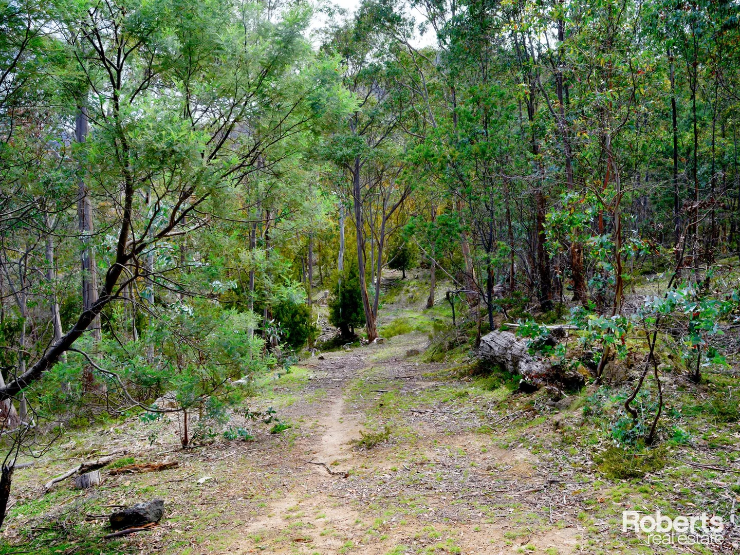 Additional image 8 of 869 Back River Road, Magra TAS 7140